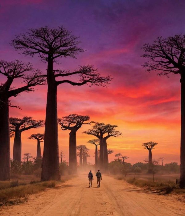 baobabs