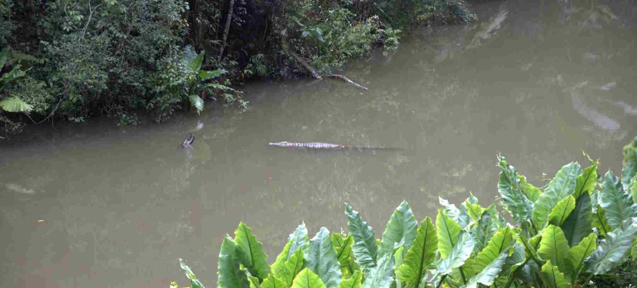 Andasibe Crocodile Valley