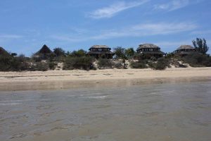 Le Paradisier . Ifaty