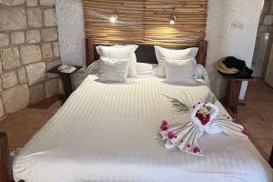 Le Paradisier . Ifaty