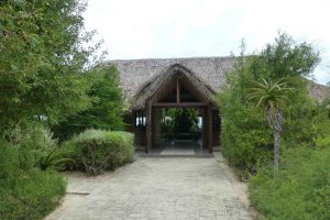 Le Paradisier . Ifaty