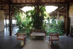 Le Paradisier . Ifaty