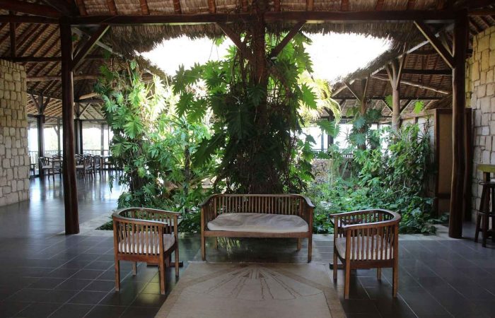 Le Paradisier . Ifaty