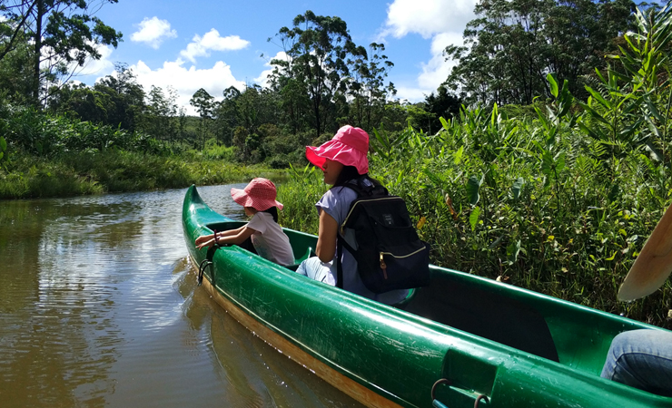 Lemur Island: The One Place Where Lemurs Come to You